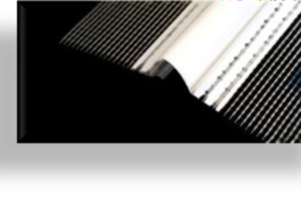 EXPANSION JOINT / MOVEMENT BEADS